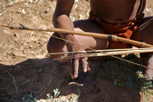 The traditional hunting bow and arrows of the San (Bushmen). They would be poisoned for a hunt.